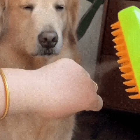 FuzzBuster™ - #1 Best-Selling 3-in-1 Steam, Massage & Grooming Hair Removal Brush for Cats and Dogs