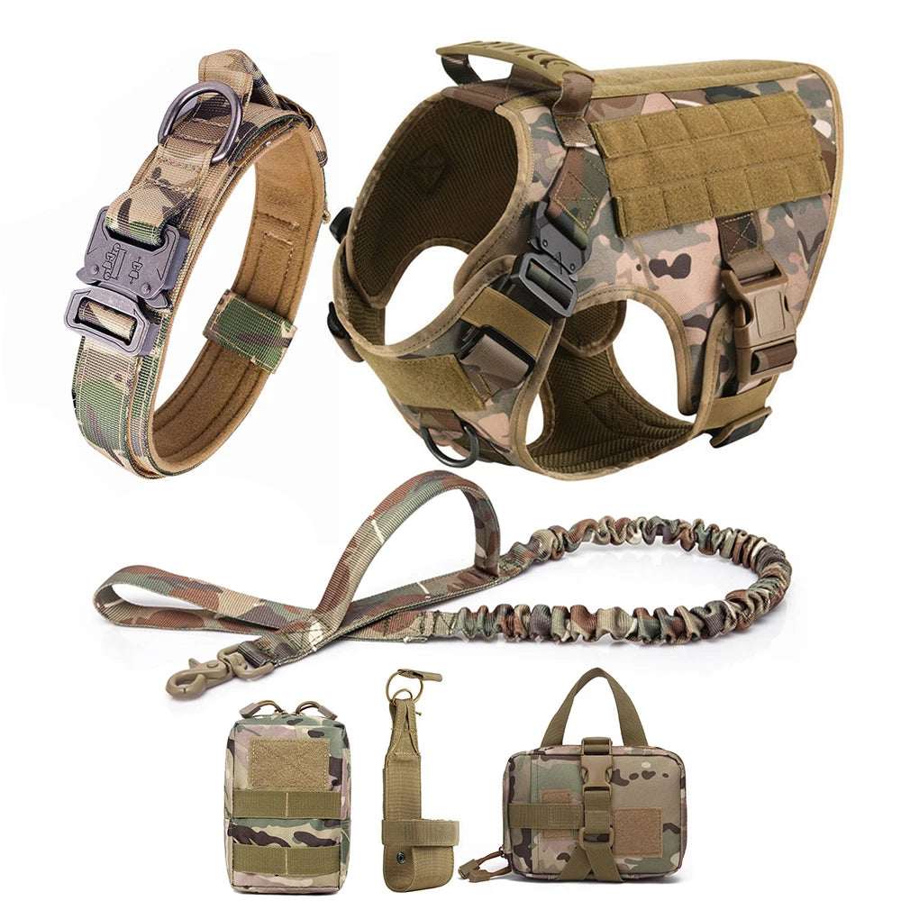 Large Dog Harness Collar Leash Set