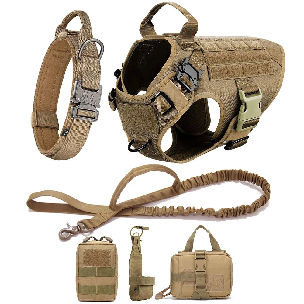 Large Dog Harness Collar Leash Set