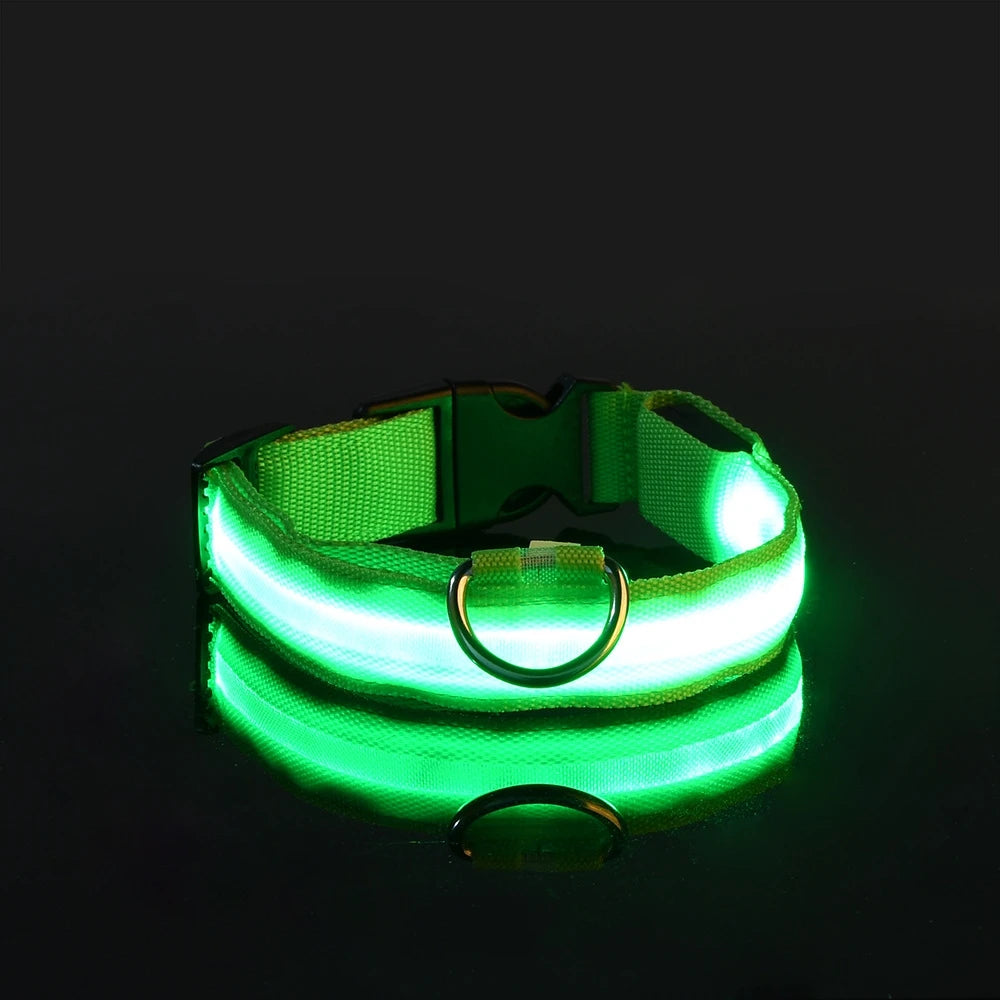 Usb Charging Glowing Led Adjustable Dog Collar