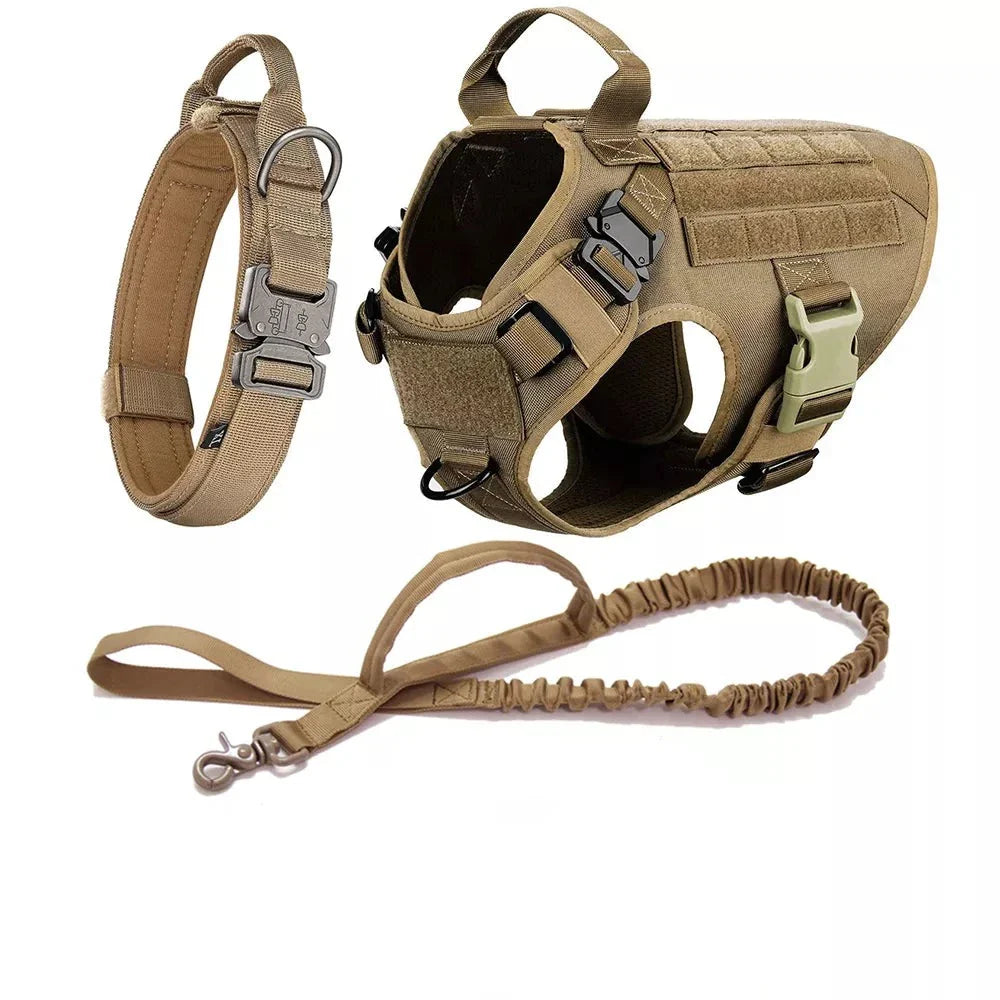Large Dog Harness Collar Leash Set