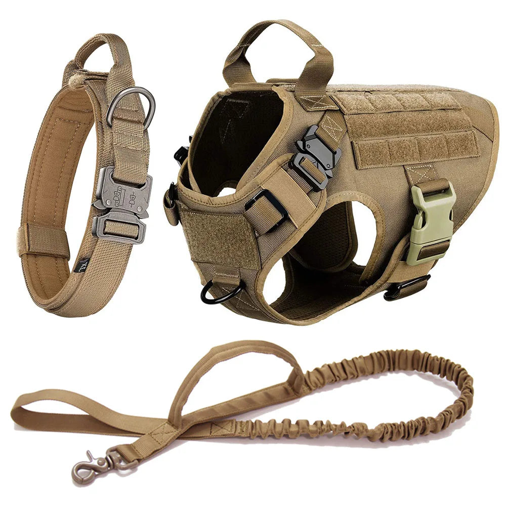 Large Dog Harness Collar Leash Set
