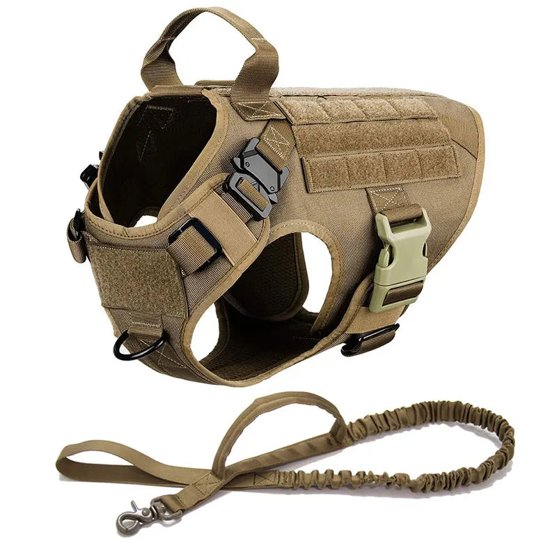 Large Dog Harness Collar Leash Set