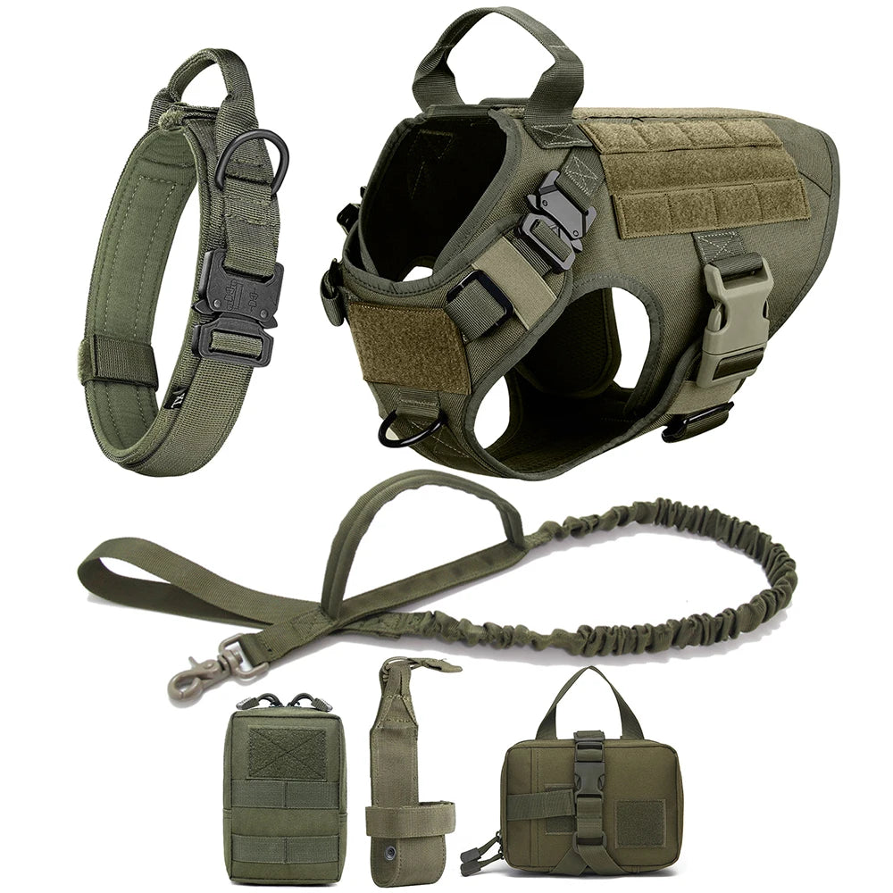 Large Dog Harness Collar Leash Set