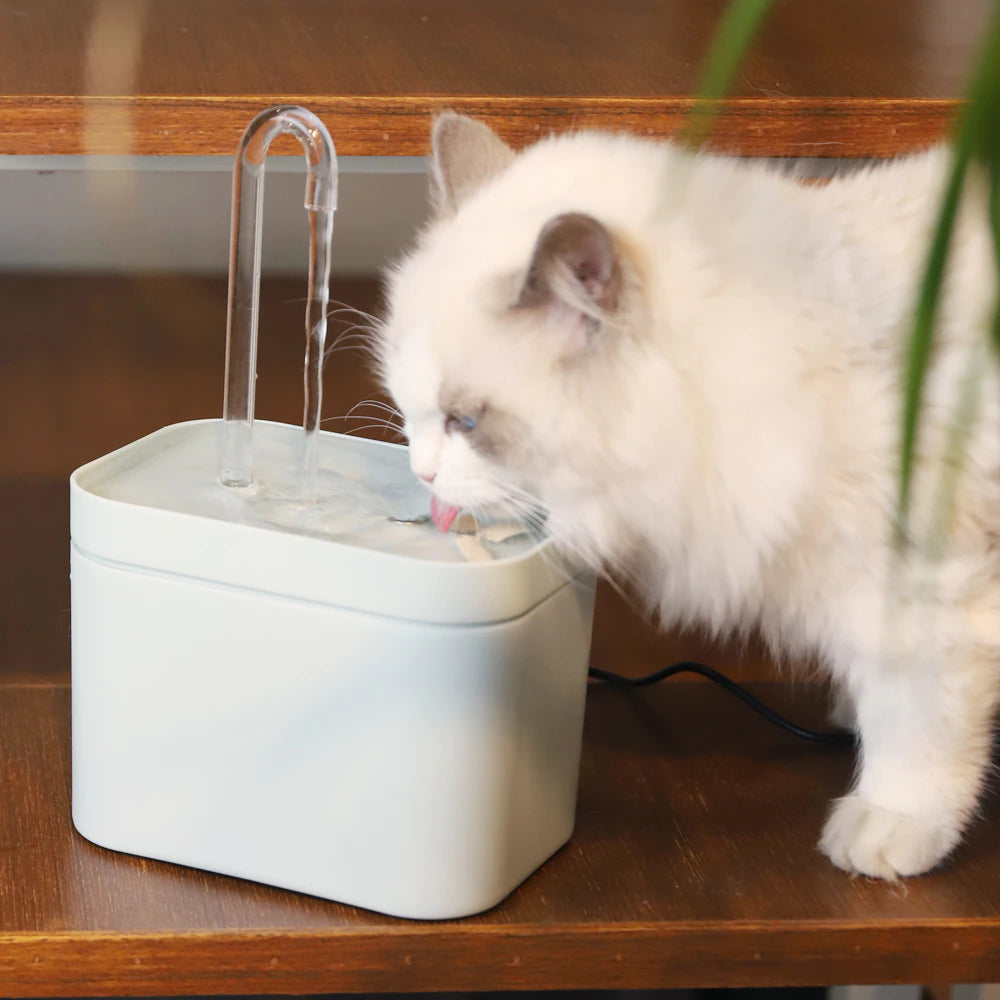 CatTap™ - #1 Best-Selling Filtered Cat Water Fountain