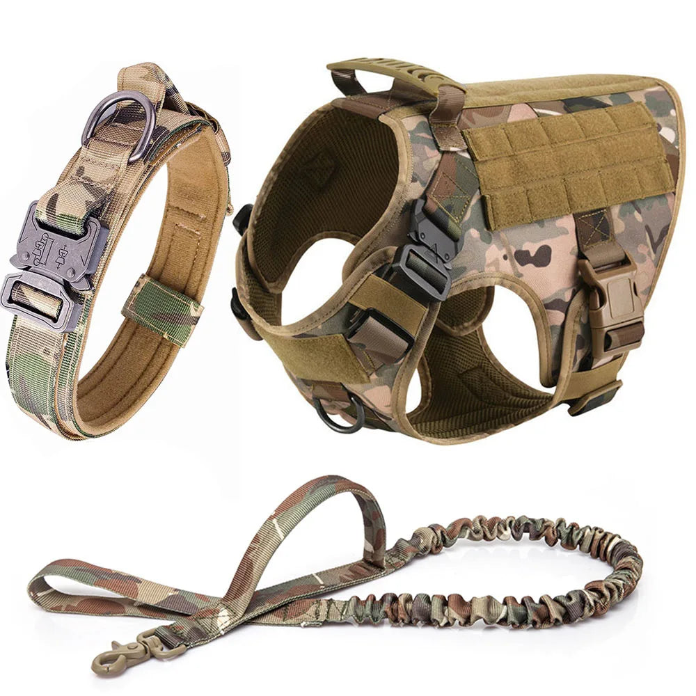 Large Dog Harness Collar Leash Set
