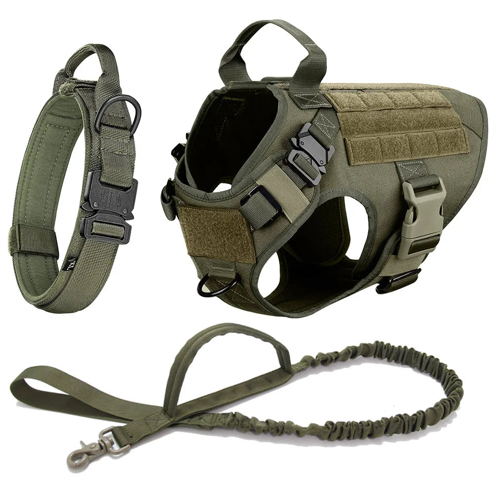 Large Dog Harness Collar Leash Set