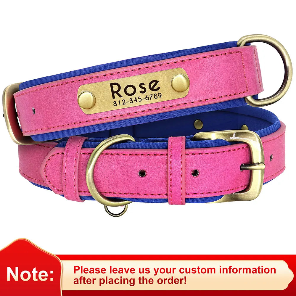 Personalized Nameplate Leather Dog Collar