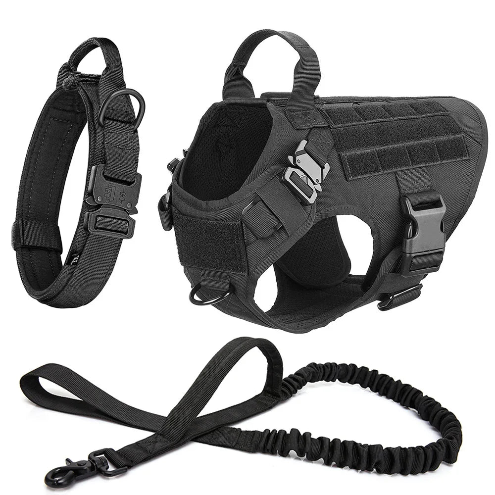 Large Dog Harness Collar Leash Set