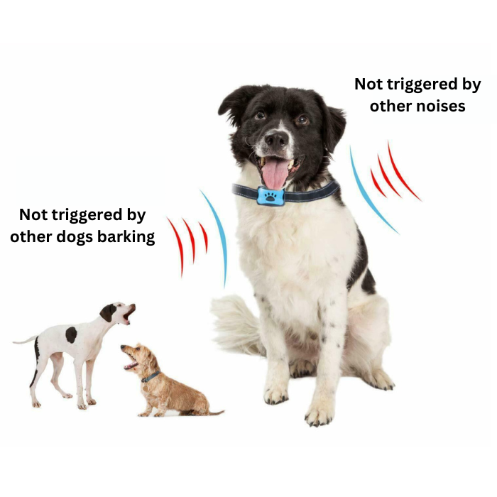 Pampered Pups™ - #1 No Shock Smart Training Bark Collar for Dogs