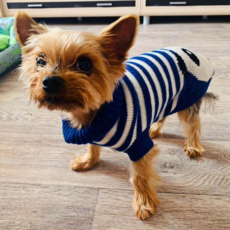 PamperedPups™ - Warm Knitted Winter Sweater for Small/Medium Dogs and Cats