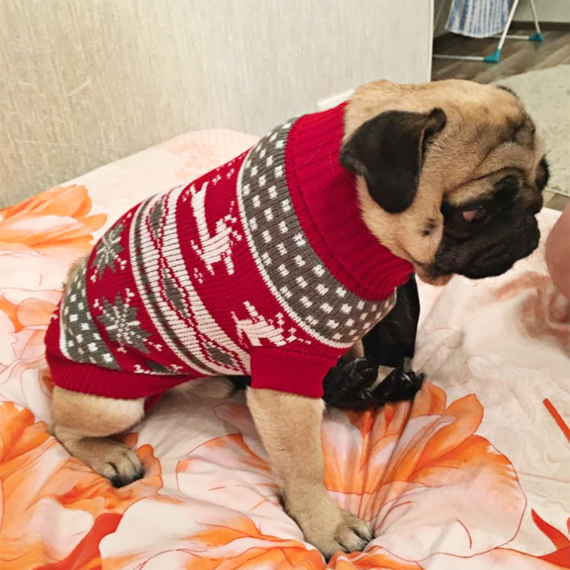 PamperedPups™ - Warm Knitted Winter Sweater for Small/Medium Dogs and Cats