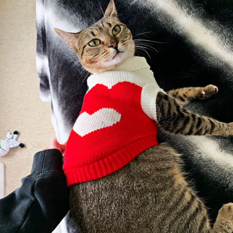 PamperedPups™ - Warm Knitted Winter Sweater for Small/Medium Dogs and Cats