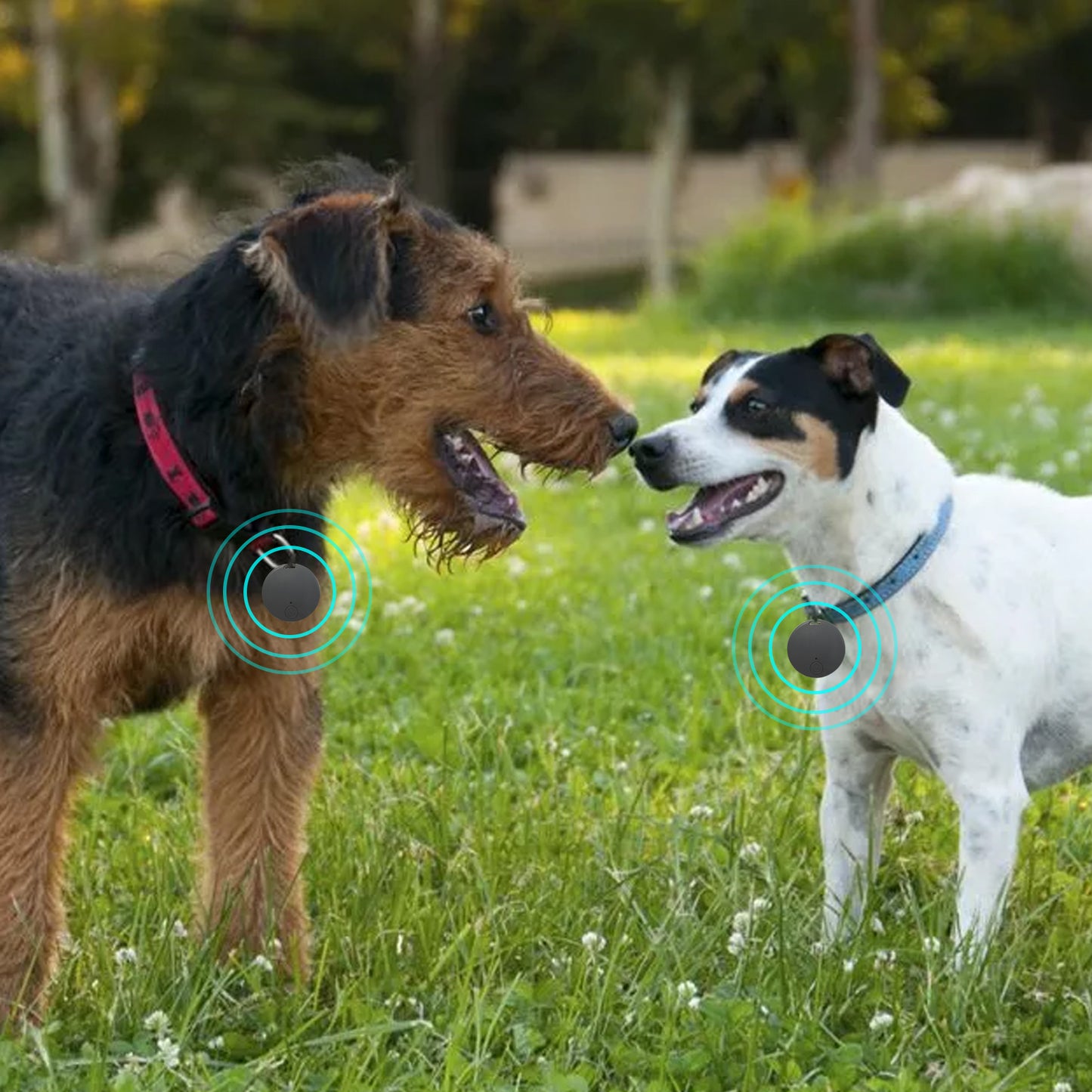 PamperedPups™ - Bluetooth Pet Tracker for Cats and Dogs