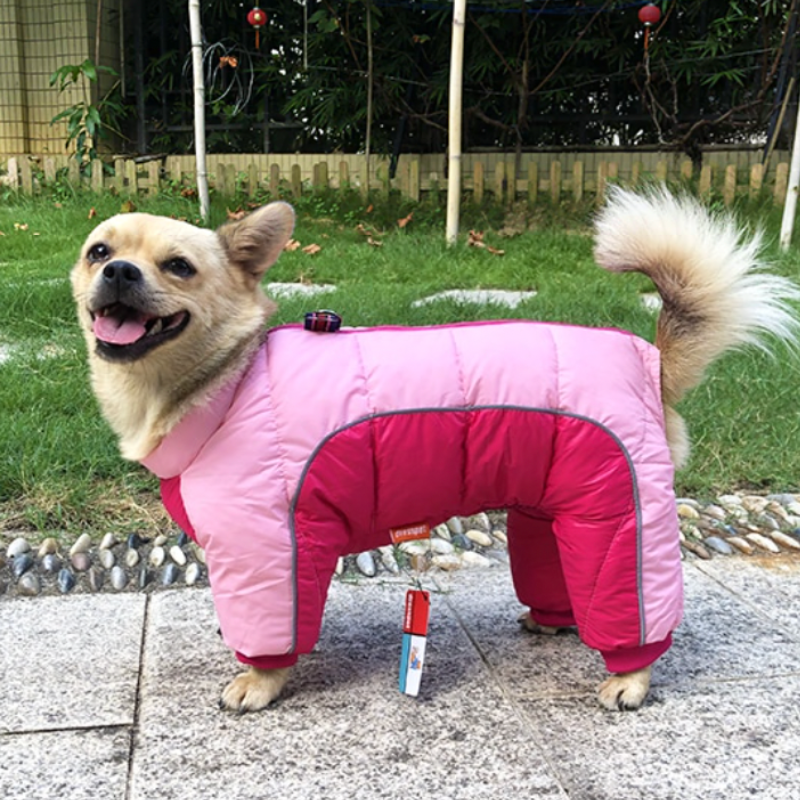 DressPet™ - Waterproof, Insulated Puffer Coat, Jacket, & Snowsuit for Small/Medium Dogs
