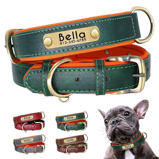 Personalized Nameplate Leather Dog Collar