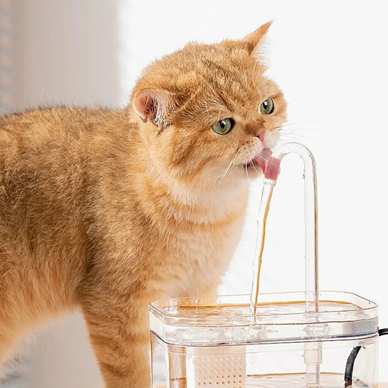 CatTap™ 2.0 1 BestSelling Filtered Water Fountain for Cats Pampered Pups