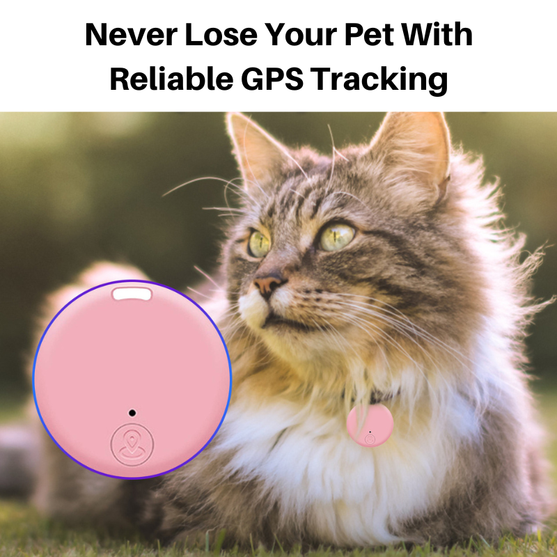 PamperedPups™ - Bluetooth Pet Tracker for Cats and Dogs