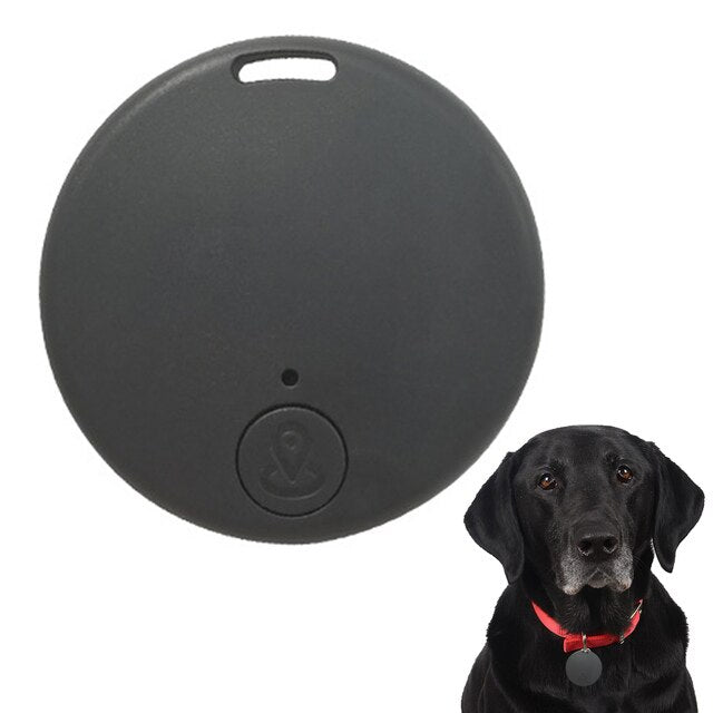 Bluetooth best sale dog bowl